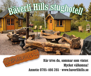 Bäverli Hills Stughotell